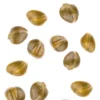 Kapari u vinskom octu 500 g