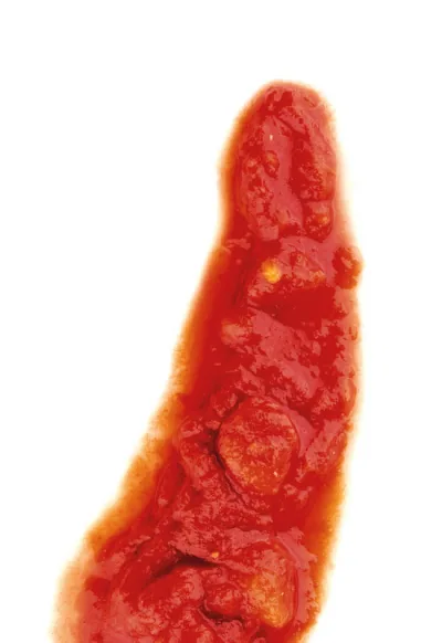 Pulpa za pizzu – fine crushed tomato 10 L