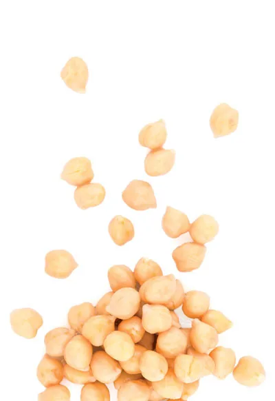 Slanutak 2500 g
